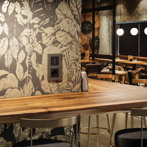 Рамка из поликарбоната на 2 поста Slab бронза софт W0022963 фото 3 Рамка из поликарбоната на 2 поста Slab бронза софт W0022963 фото 3