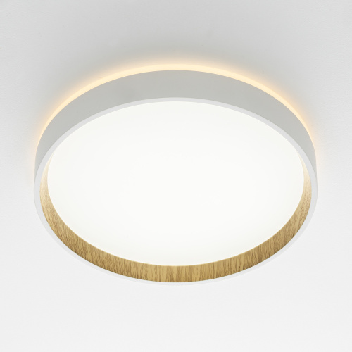 Citilux ETALON CL750240 LED Светильник с подсветкой Белый+Бук фото 3 Citilux ETALON CL750240 LED Светильник с подсветкой Белый+Бук фото 3