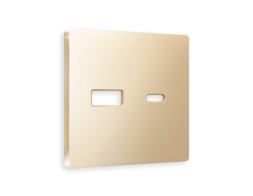 Лицевая панель розетки AMBRELLA VOLT AP6110 Лицевая панель розетки AMBRELLA VOLT AP6110