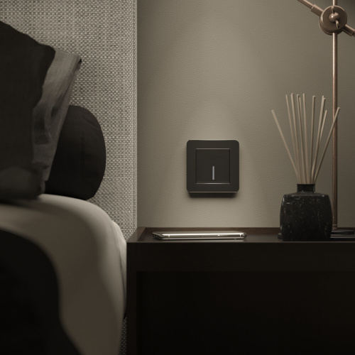 Рамка из металла на 1 пост Platinum черный алюминий W0012608 фото 3