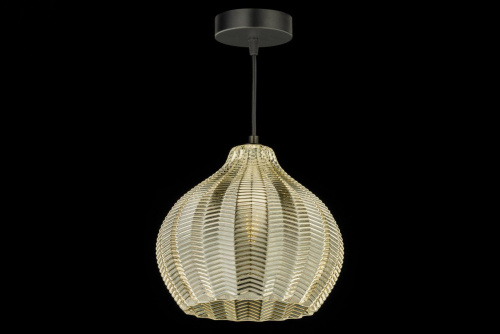Люстра подвесная Arti Lampadari Davagna E 1.P1 C фото 3