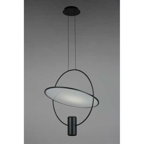 Светильник подвесной OML-29806-02 фото 6