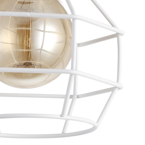 Потолочный светильник Arte Lamp INTERNO A9182PL-1WH фото 3
