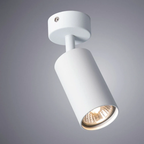 Спот Arte Lamp AQUARIUS A3216PL-1WH фото 2 Спот Arte Lamp AQUARIUS A3216PL-1WH фото 2