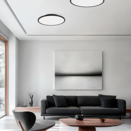 SLE1811-102-01 Светильник потолочный Серебрянный/белая LED 1*42W 4000K TASSEN фото 2