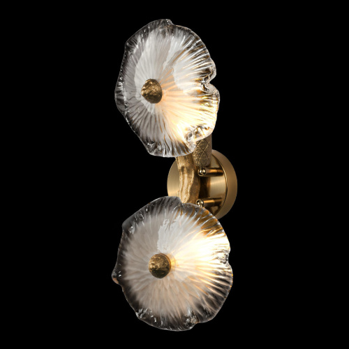 10352/2W AB Бра LOFT IT Bloom фото 2