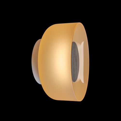 10466W Amber matte wood Настенный светильник LOFT IT Totem фото 4