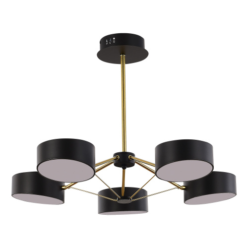 SLE6005-402-05 Светильник потолочный Черный, Золотистый/Черный LED 5*10W VALLE фото 6