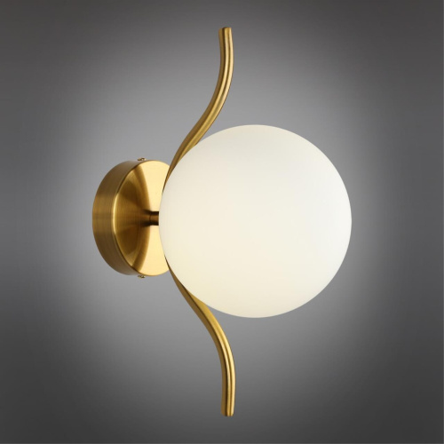 Светильник настенный (Бра) APL.312.11.01 фото 3 Светильник настенный (Бра) APL.312.11.01 фото 3