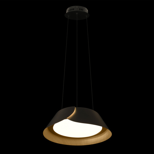 10370P Black Подвесной светильник LOFT IT Lane фото 3