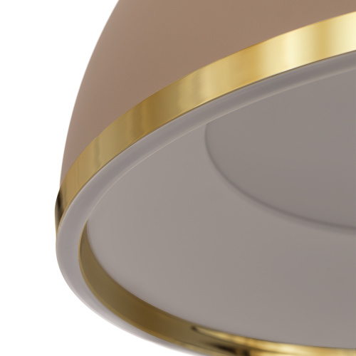 Citilux FLOOM CL736252 Светильник подвесной с пультом Бежевый+Золото фото 6 Citilux FLOOM CL736252 Светильник подвесной с пультом Бежевый+Золото фото 6
