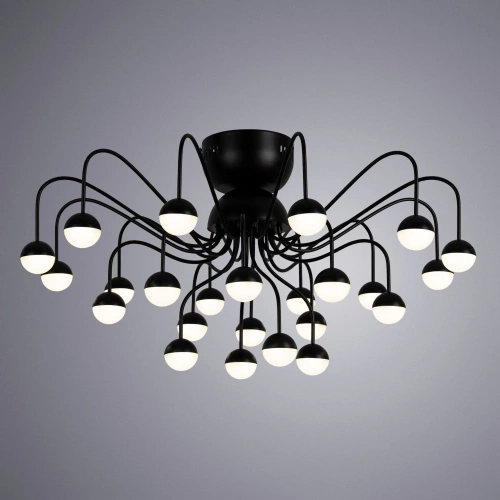 Потолочная люстра Arte Lamp DEXTER A3619PL-24BK фото 2 Потолочная люстра Arte Lamp DEXTER A3619PL-24BK фото 2