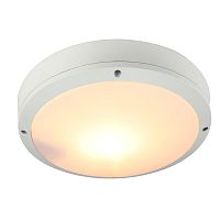 Уличный потолочный светильник Arte Lamp CITY A8154PF-2WH