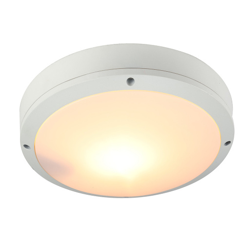 Уличный потолочный светильник Arte Lamp CITY A8154PF-2WH