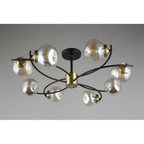 Люстра потолочная OML-95307-08 фото 5 Люстра потолочная OML-95307-08 фото 5