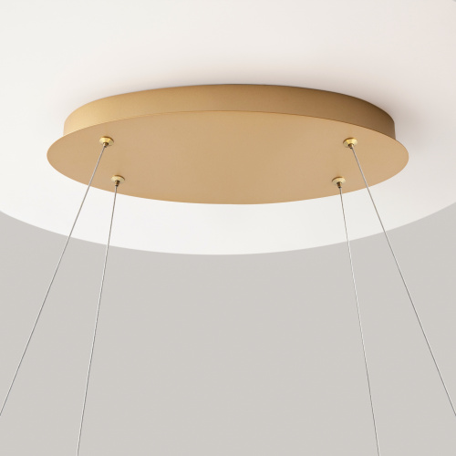 Подвесной светильник Maytoni MOD283PL-L65BS3K фото 11