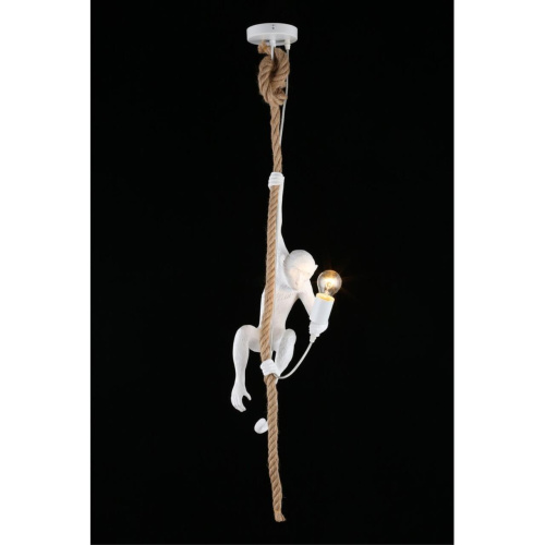 Светильник подвесной APL.309.06.01 фото 9 Светильник подвесной APL.309.06.01 фото 9