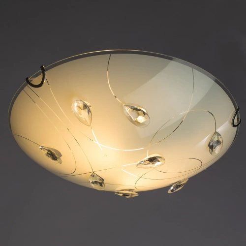 Потолочный светильник Arte Lamp MERIDA A4045PL-2CC фото 2 Потолочный светильник Arte Lamp MERIDA A4045PL-2CC фото 2