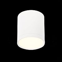 ST113.532.05 Светильник потолочный Белый LED 1*5W 3000K 390Lm Ra>90 120° IP20 D68xH75 170-240V Накладные светильники