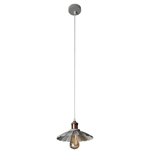 Подвесной светильник Arte Lamp ASTI A8160SP-1GY Подвесной светильник Arte Lamp ASTI A8160SP-1GY