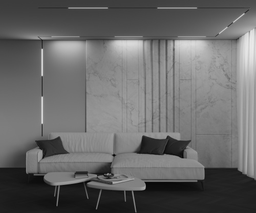 Трековый светильник Technical TR240-2-12W3K-B фото 5