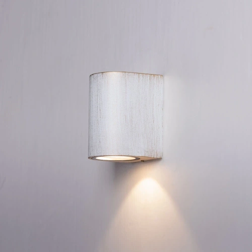 Фасадный светильник Arte Lamp DOPPIO A3502AL-1WG фото 2
