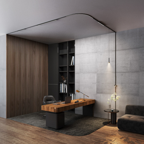 Трековый светильник 3W 3000K Mini Magnetic 85164/01 фото 4