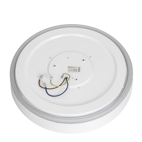 Citilux BOSS CL751350G LED RGB Светильник с пультом Белый фото 11