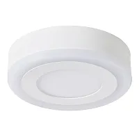 Потолочный светильник Arte Lamp ANTARES A7806PL-2WH