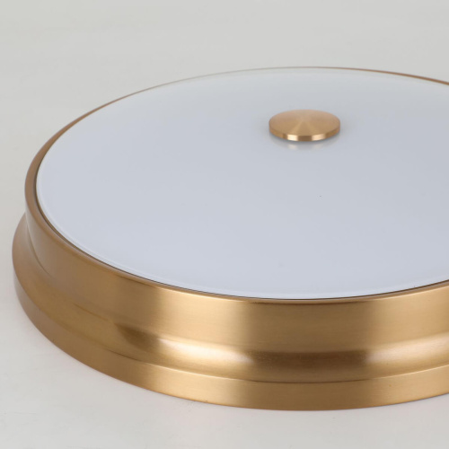 Потолочный светильник Favourite Pannikin 2375-3C фото 2