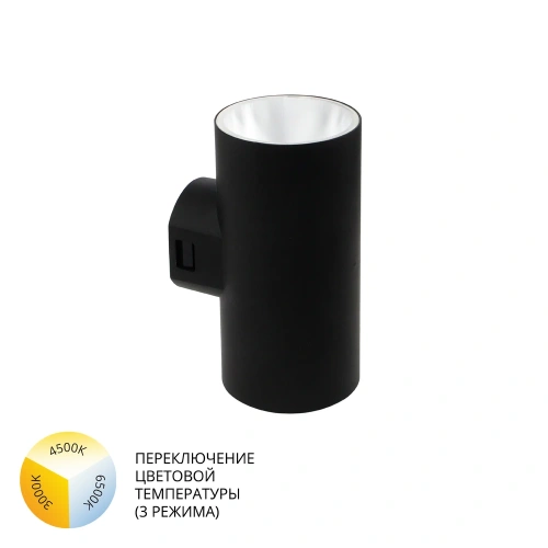 Фасадный светильник Arte Lamp ALCYONE A6109AL-2BK