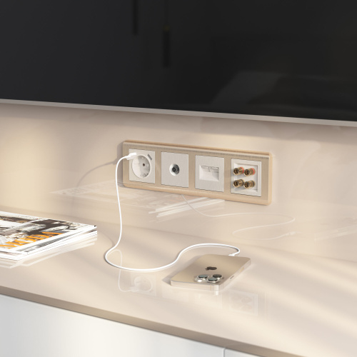 Акустическая розетка (перламутровый рифленый) WL13-AUDIOx4 фото 4 Акустическая розетка (перламутровый рифленый) WL13-AUDIOx4 фото 4