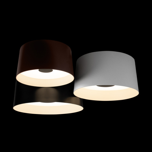 10360/3 Потолочный светильник LOFT IT Duo фото 7 10360/3 Потолочный светильник LOFT IT Duo фото 7