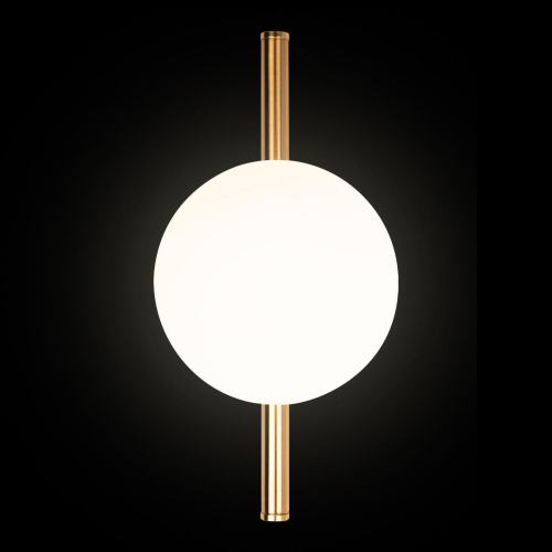 10236/1W Настенный светильник LOFT IT Tely фото 6