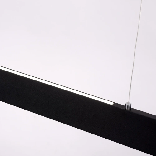 Подвесной светильник Arte Lamp LARGO A2505SP-2BK фото 3
