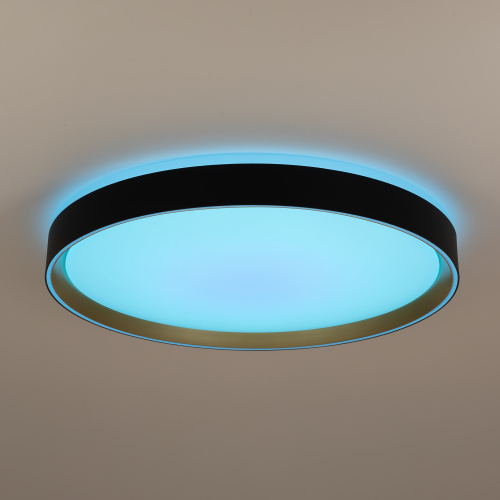 Citilux BOSS CL751451G LED RGB Светильник с пультом Чёрный с Золотом фото 11 Citilux BOSS CL751451G LED RGB Светильник с пультом Чёрный с Золотом фото 11