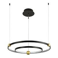 Подвесная светодиодная люстра Divinare Amadeo 1123/04 SP-65
