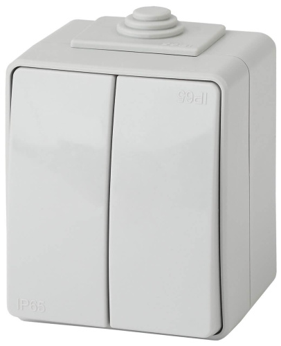 Выключатель двухклавишный ЭРА Эксперт 10AX 250V IP65 11-1604-03 Б0035976 Выключатель двухклавишный ЭРА Эксперт 10AX 250V IP65 11-1604-03 Б0035976