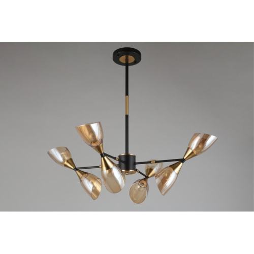 Люстра потолочная OML-66807-08 фото 6 Люстра потолочная OML-66807-08 фото 6