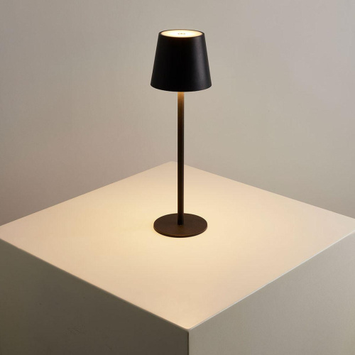 Уличный светодиодный светильник Arte Lamp Fuyue A1614LT-1BK фото 2