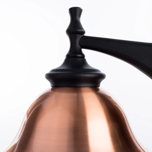 Уличный настенный светильник Arte Lamp BARCELONA A1482AL-1BK фото 3 Уличный настенный светильник Arte Lamp BARCELONA A1482AL-1BK фото 3
