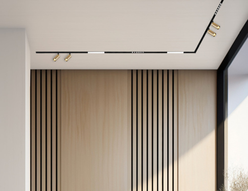 IT012-5026 gold 3000K светильник трековый фото 7