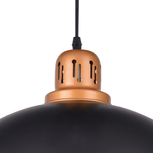 Подвесной светильник Arte Lamp EURICA A4249SP-1BK фото 3 Подвесной светильник Arte Lamp EURICA A4249SP-1BK фото 3