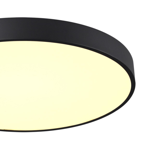 7756/70L MITRA LED SN 539 Светильник металл/акрил/черный LED (60Вт+10Вт) 3000K+3000K D600 IP20 подсветка QUASAR фото 5 7756/70L MITRA LED SN 539 Светильник металл/акрил/черный LED (60Вт+10Вт) 3000K+3000K D600 IP20 подсветка QUASAR фото 5