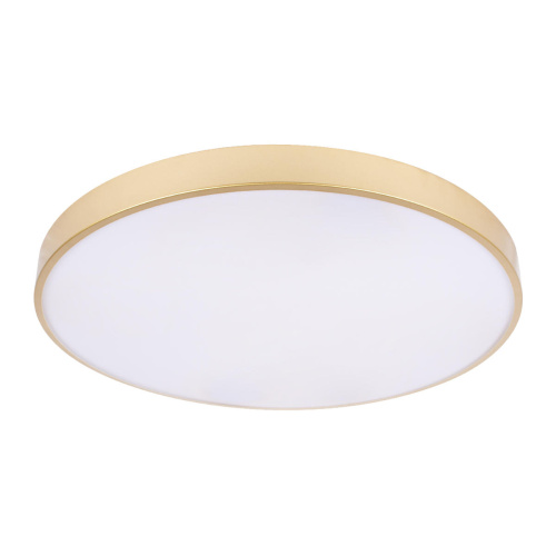 10228/B Потолочный светильник LOFT IT Flims фото 3 10228/B Потолочный светильник LOFT IT Flims фото 3