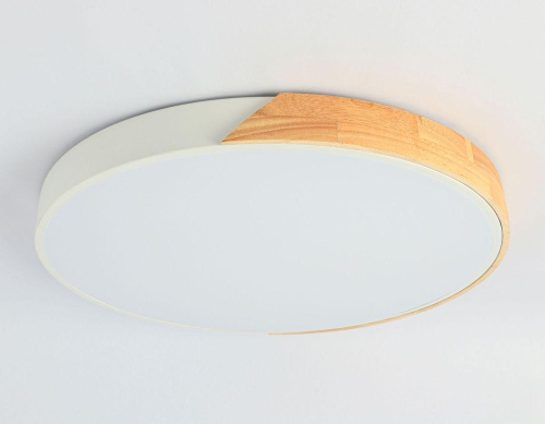 Потолочный светодиодный светильник Ambrella light Orbital Design FZ1301 фото 2