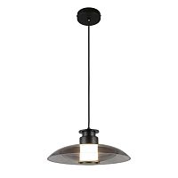 Светильник подвесной APL.648.06.10