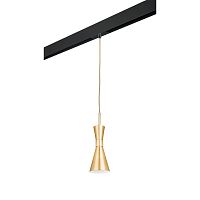 Комплект с трековым светильником Lightstar Dumo (816011+595007) PRO816011