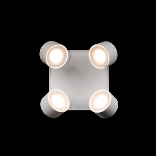 10326 White Накладной светильник LOFT IT Case фото 4