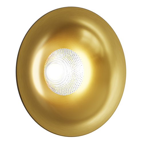 IT014-0208 gold светильник встраиваемый влагозащищенный фото 7